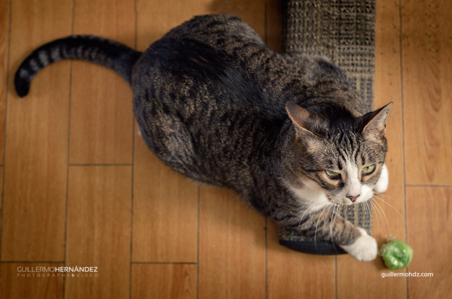 _DSC4483-Editar
